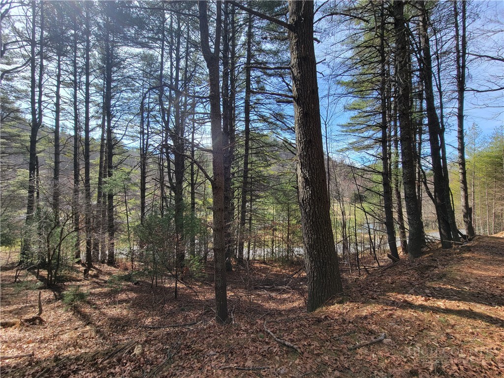 Tbd (lot 73) Creekside Meadows Drive Property Photo 1
