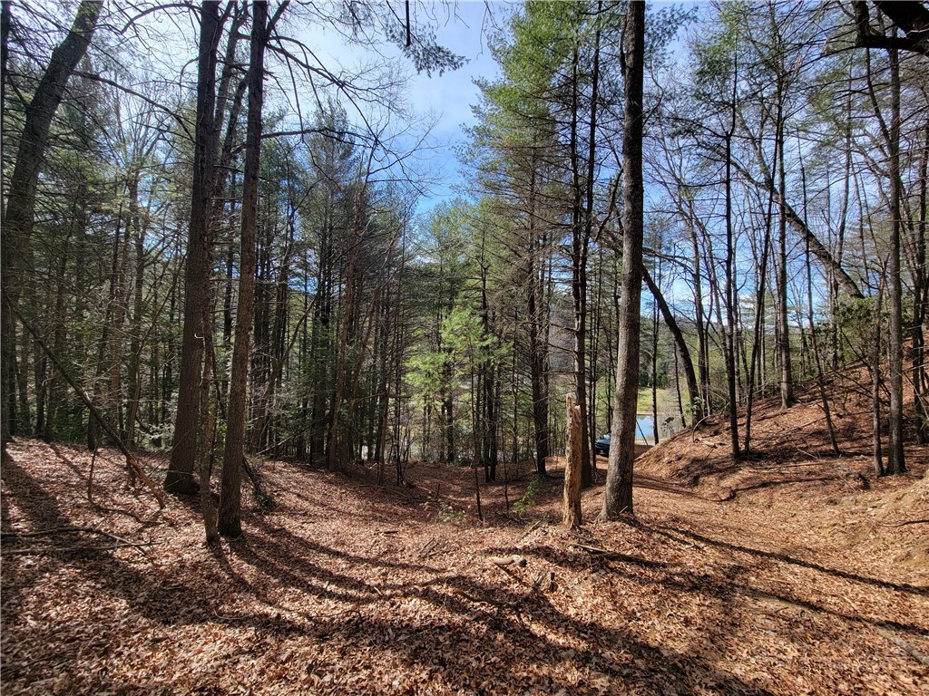 Tbd (lot 73) Creekside Meadows Drive Property Photo 2
