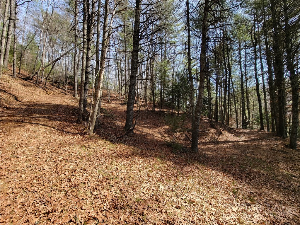 Tbd (lot 73) Creekside Meadows Drive Property Photo 3