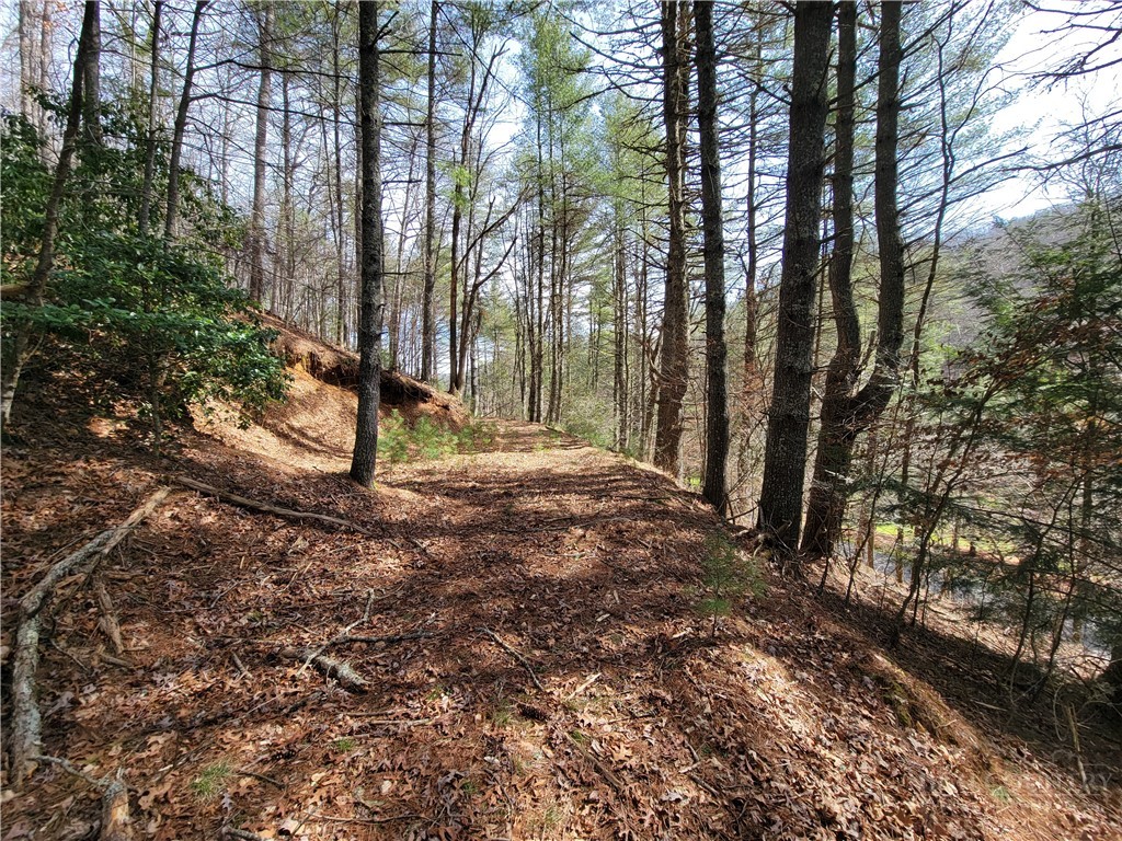 Tbd (lot 73) Creekside Meadows Drive Property Photo 4