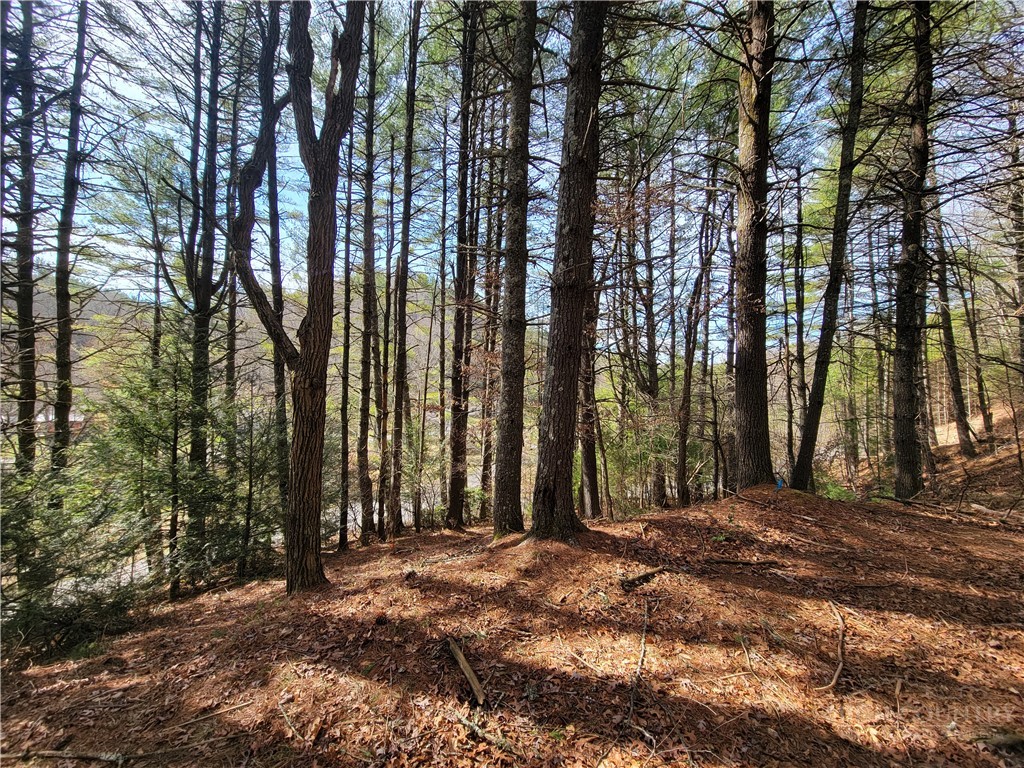 Tbd (lot 73) Creekside Meadows Drive Property Photo 5