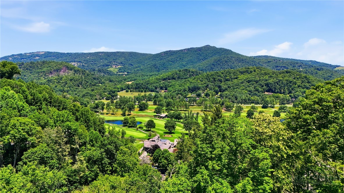 Lot 1 Laurel Ridge Lane Property Photo 1