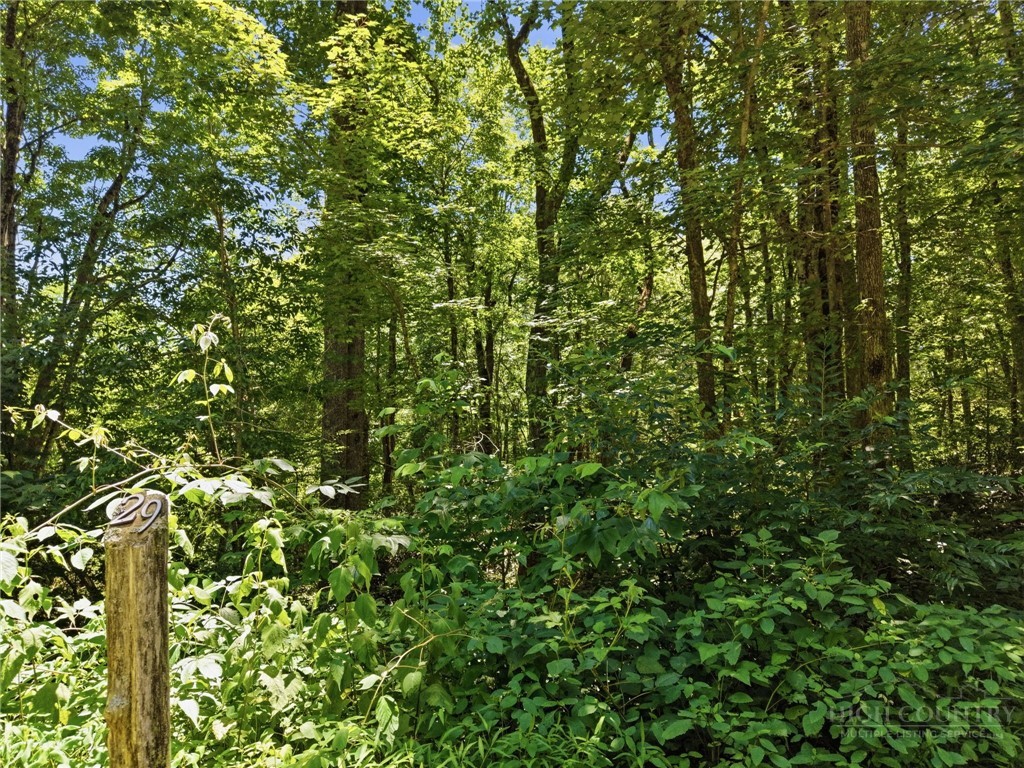 Lot 29 Chickasaw Trail Property Photo 1
