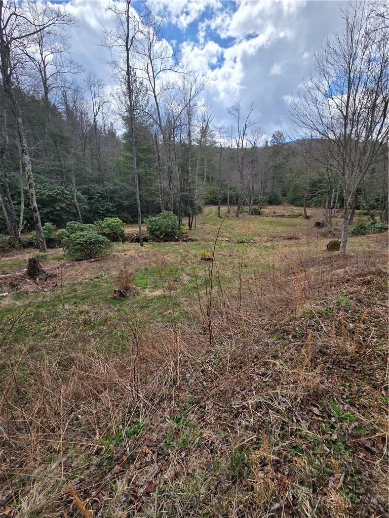 Tbd E Laurel Springs Drive Property Photo 1