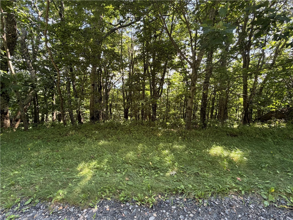 Tbd Pinnacle Drive Property Photo 1