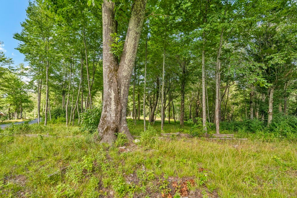 Lot 13 Great Sky Drive Property Photo 1