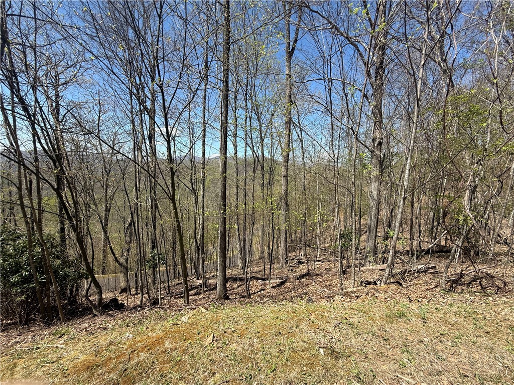 24 Elk Mountain Loop Property Photo 1