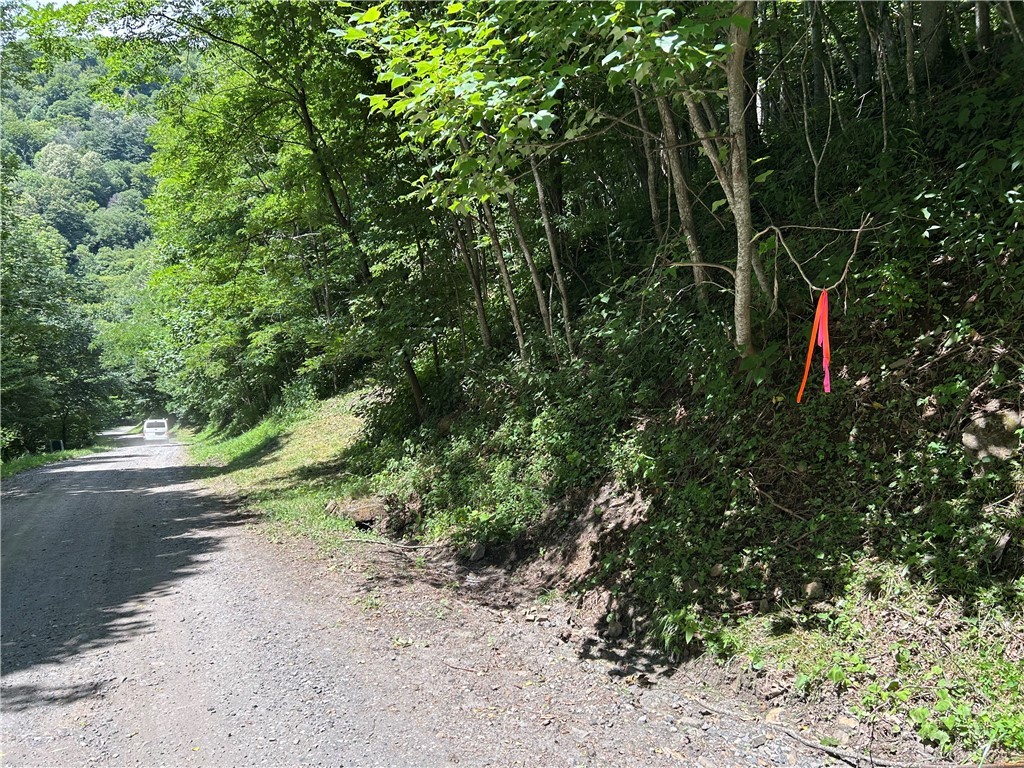 Tbd Little Tree Road Property Photo 1