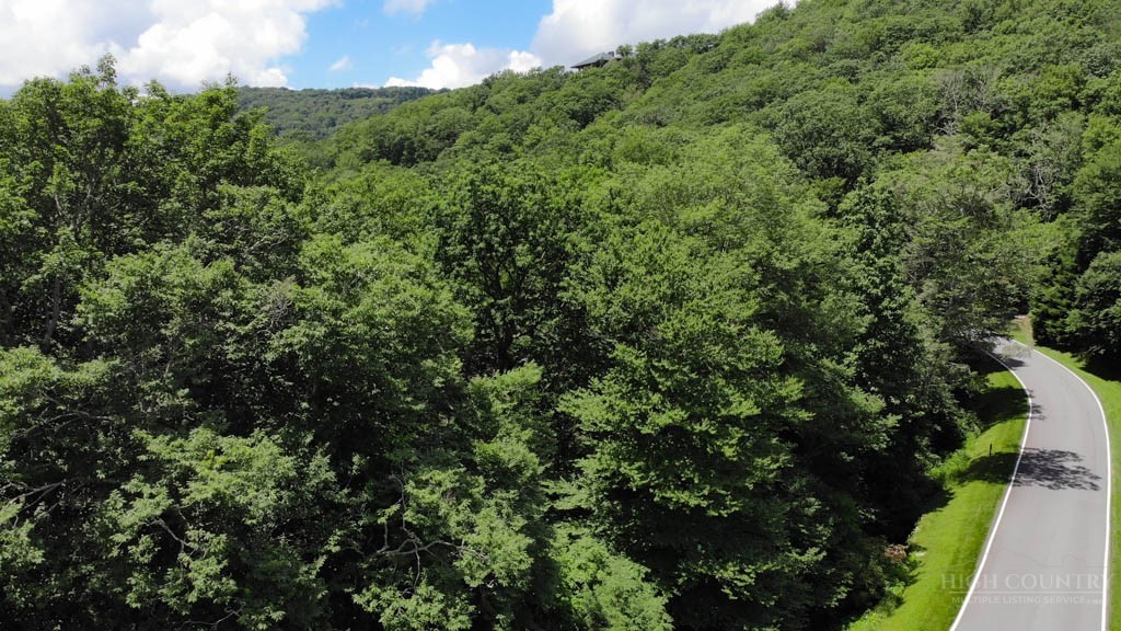 1716 Forest Ridge Drive Property Photo 2