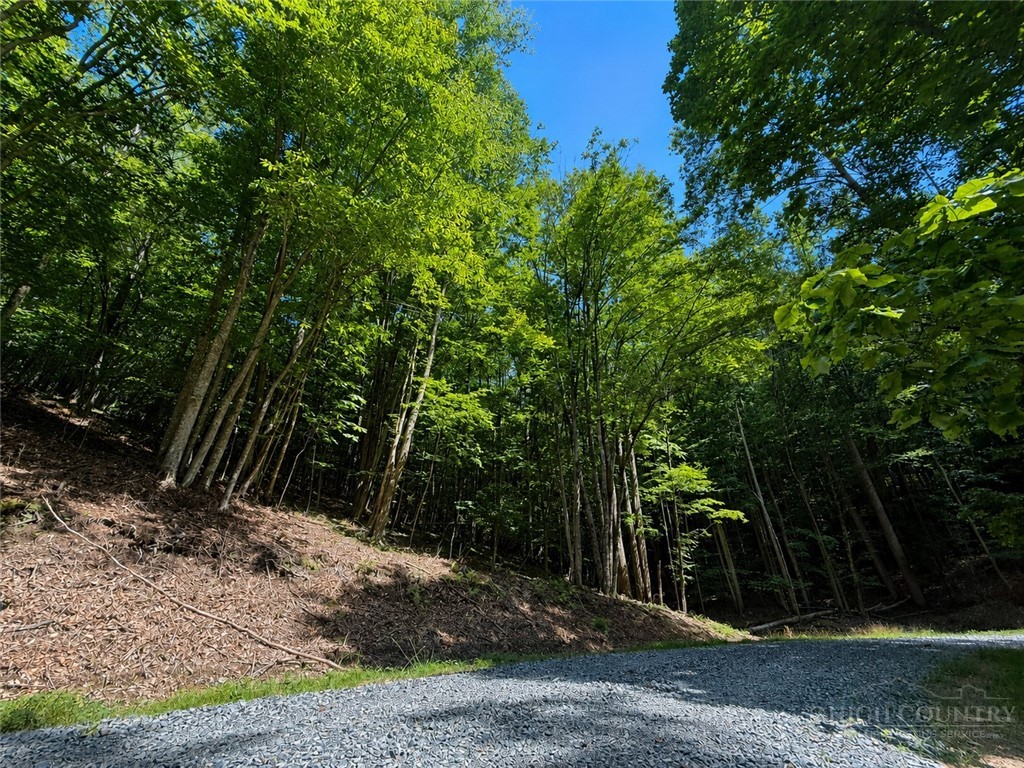 146 Sassafrass Road Property Photo 1