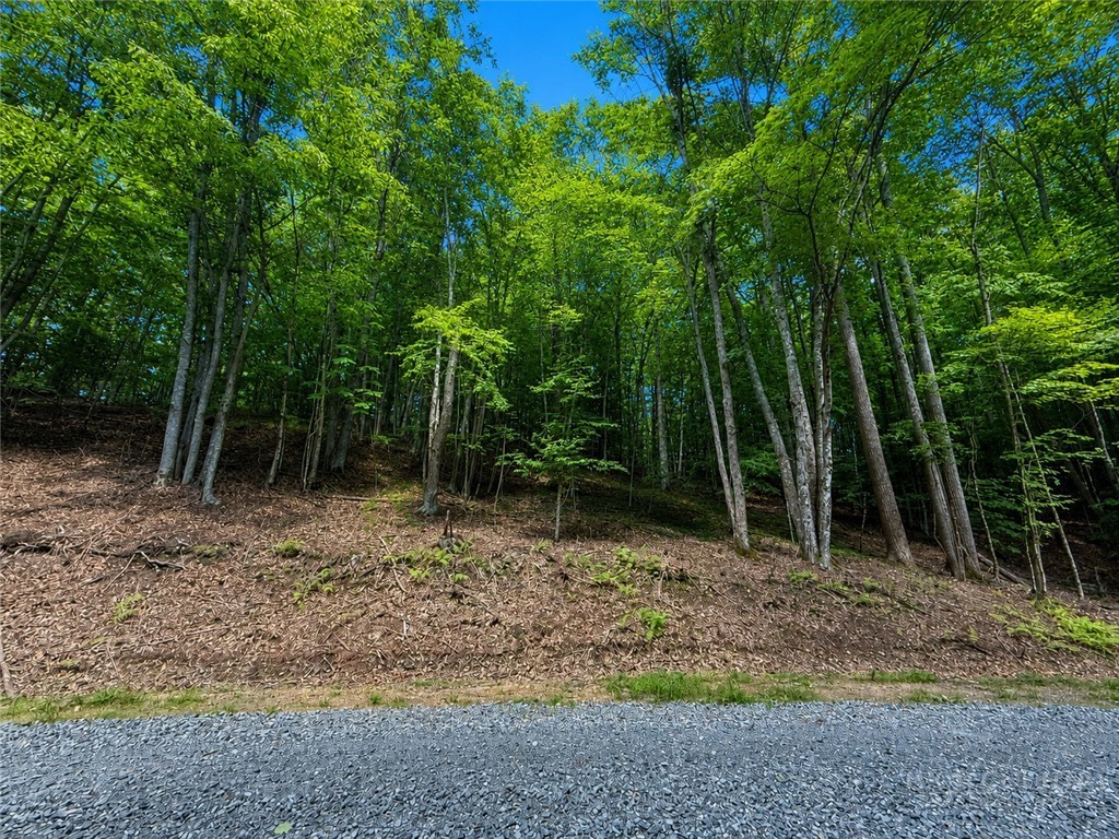 146 Sassafrass Road Property Photo 2