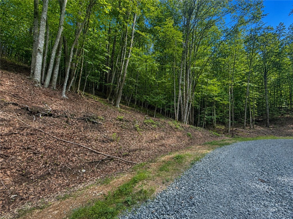 146 Sassafrass Road Property Photo 3