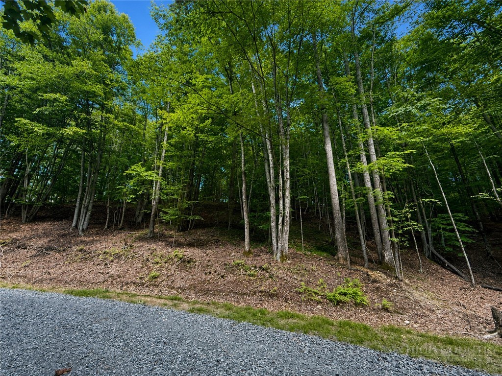 146 Sassafrass Road Property Photo 4