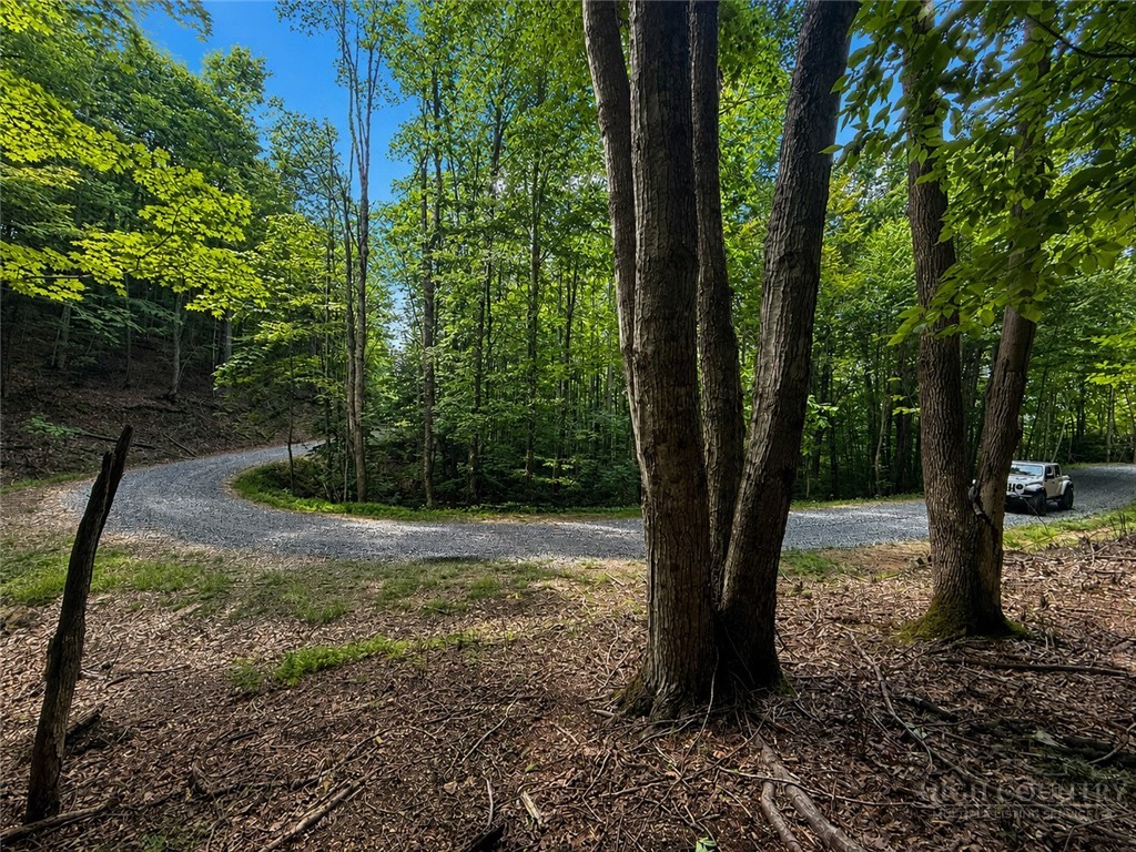 146 Sassafrass Road Property Photo 5