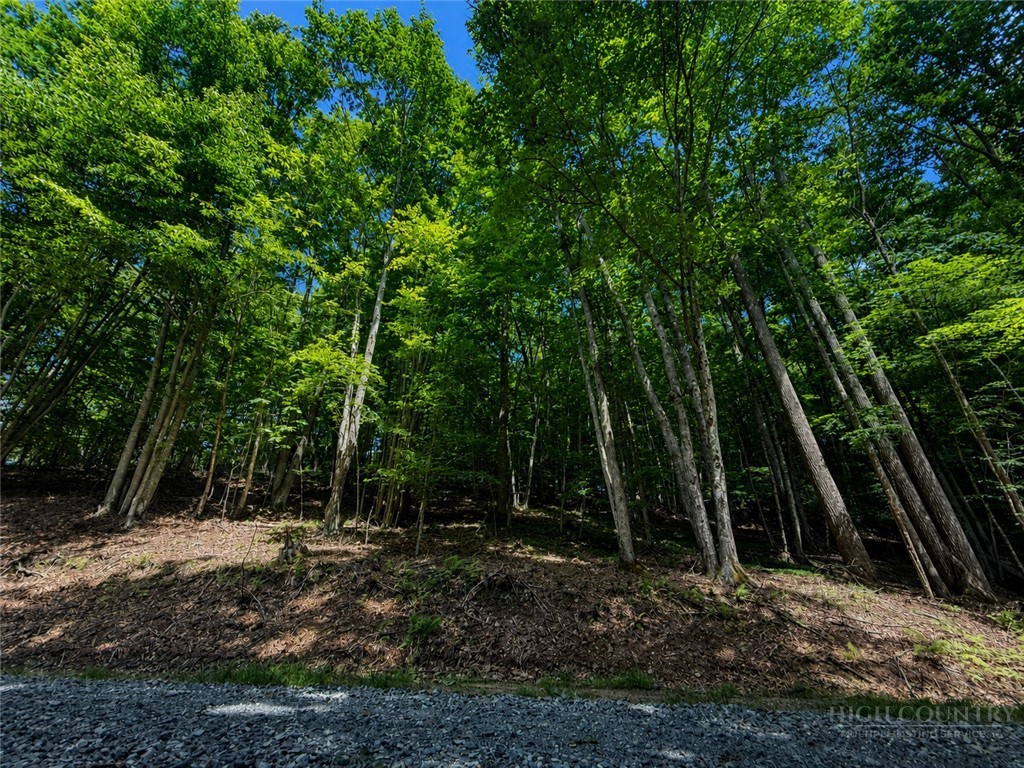 146 Sassafrass Road Property Photo 7