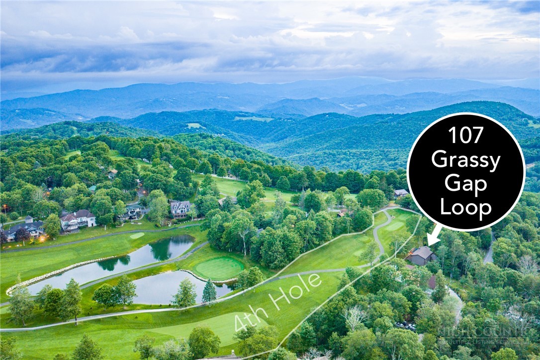 107 Grassy Gap Loop Road Property Photo 7