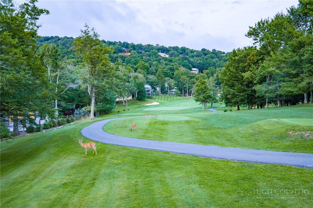 107 Grassy Gap Loop Road Property Photo 42