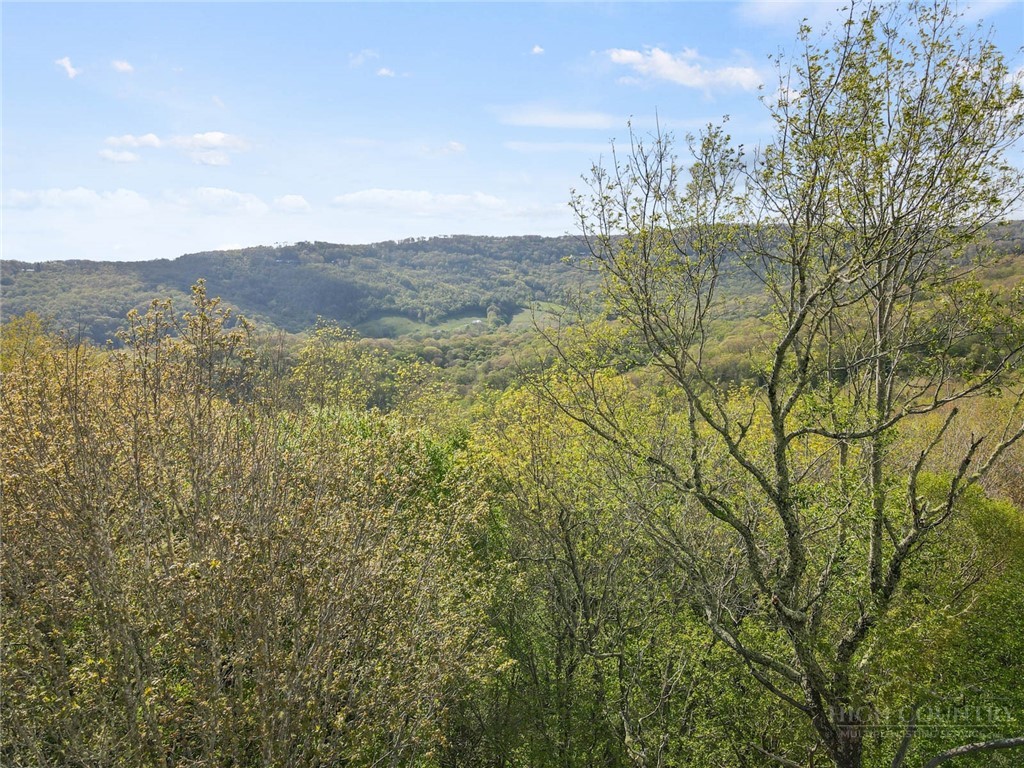 311 Dam Trail Property Photo 2