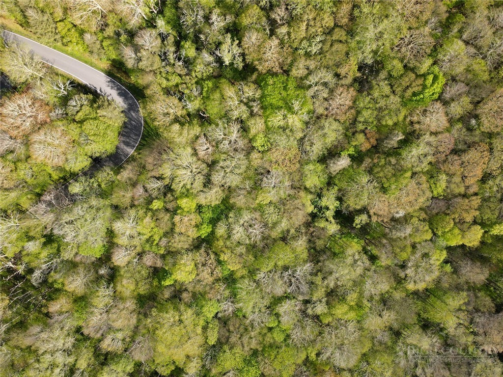 311 Dam Trail Property Photo 3