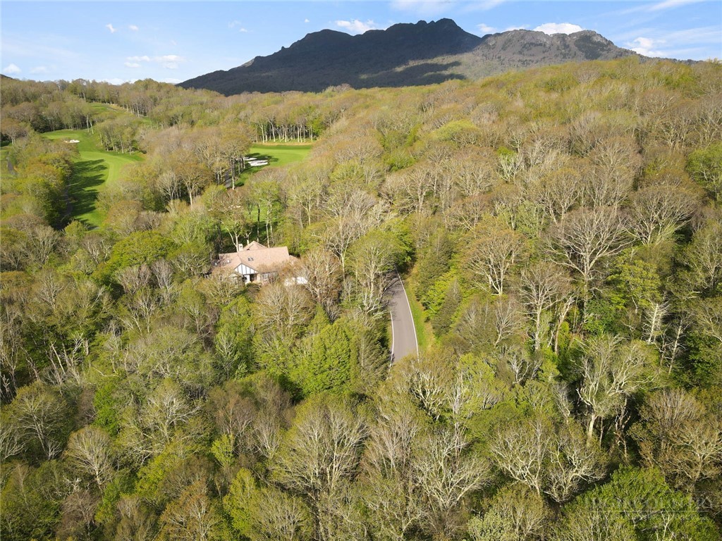 311 Dam Trail Property Photo 4
