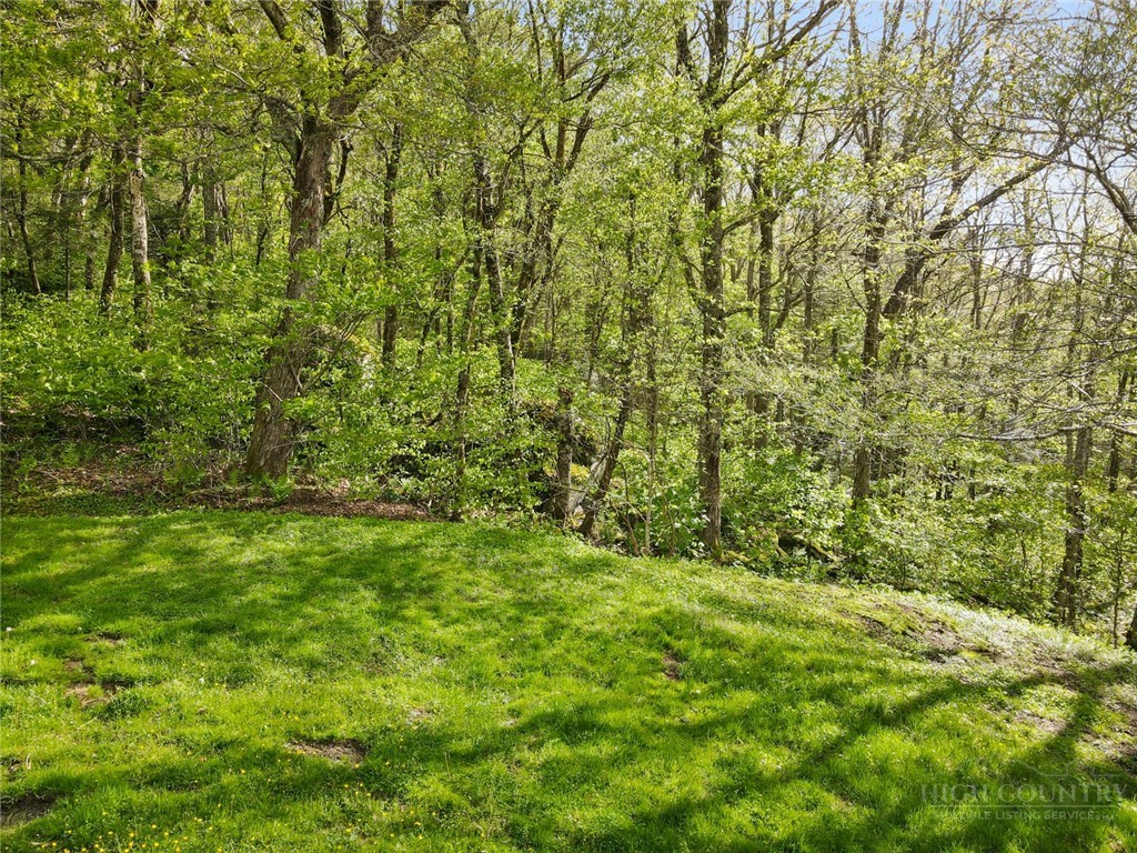 311 Dam Trail Property Photo 5