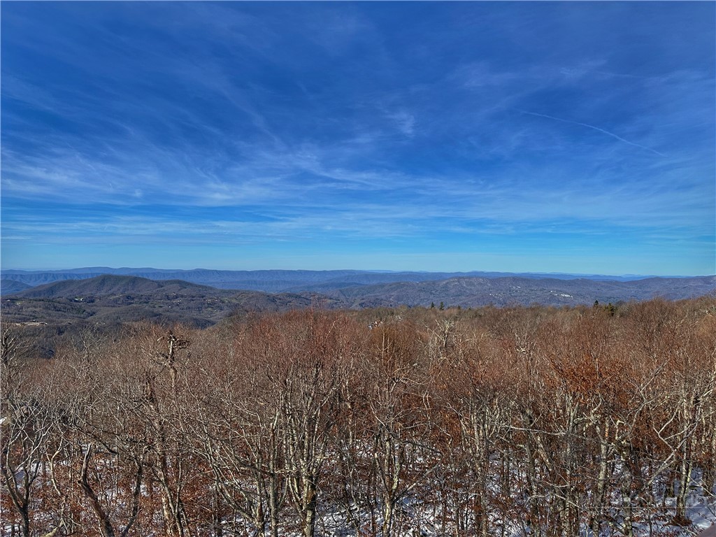 106 Spruce Hollow Road Property Photo 3