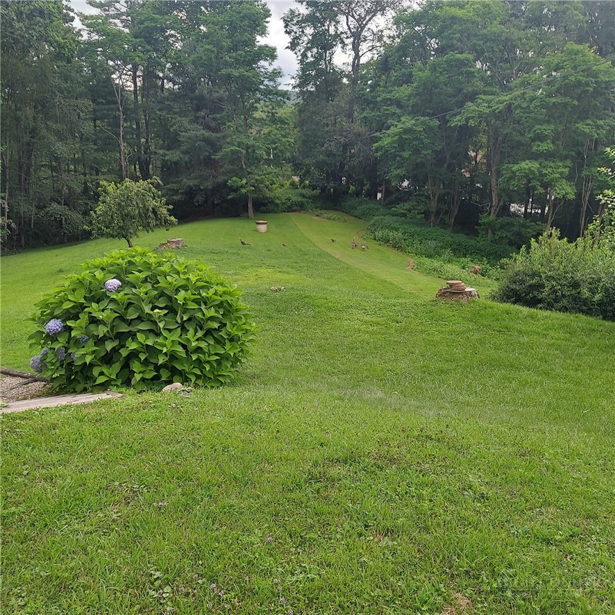 8676 Nc Hwy 183 Property Photo 1
