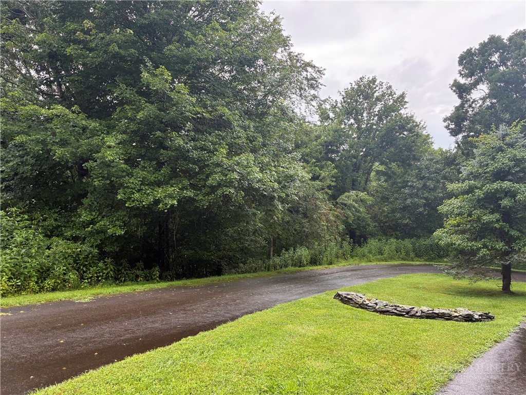 Tbd Crain Branch Lane Property Photo 4