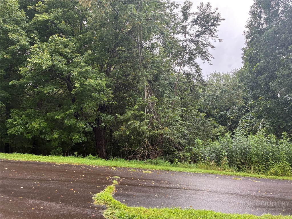 Tbd Crain Branch Lane Property Photo 5
