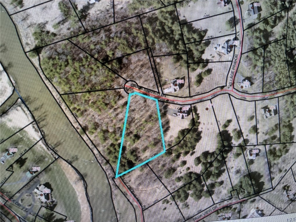 Tbd Crain Branch Lane Property Photo 7
