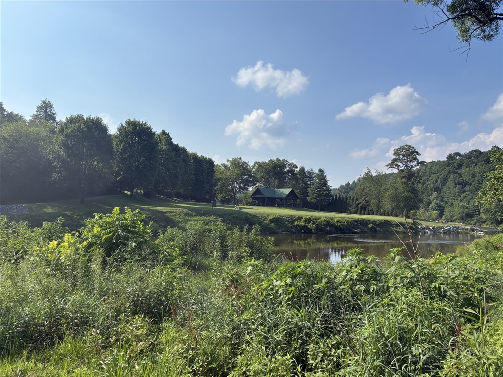 Tbd Crain Branch Lane Property Photo 12