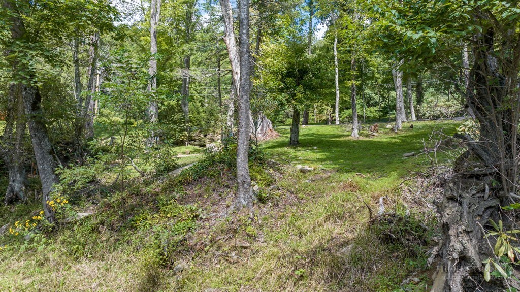 Lot 5 River Haven Drive Property Photo 15