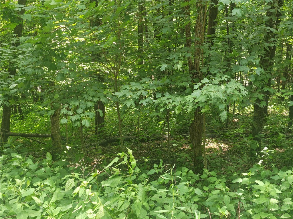 Lot 90 Thorncliff Drive Property Photo 1