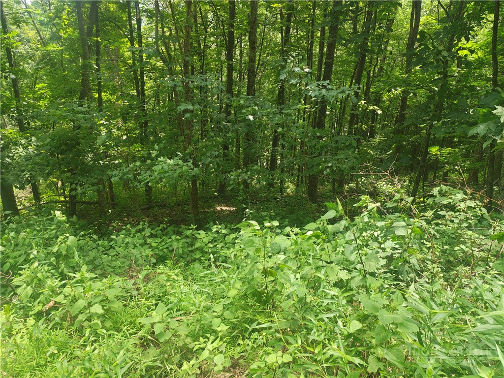 Lot 90 Thorncliff Drive Property Photo 2