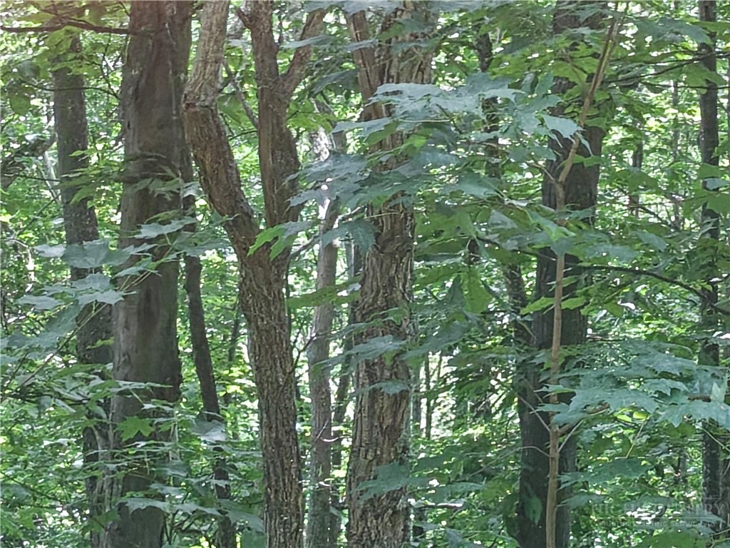 Lot 90 Thorncliff Drive Property Photo 4