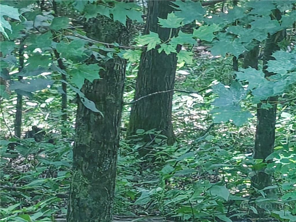 Lot 90 Thorncliff Drive Property Photo 5