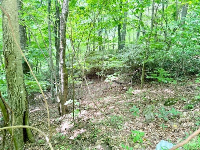 Lot 17 Savannah Drive Property Photo 2