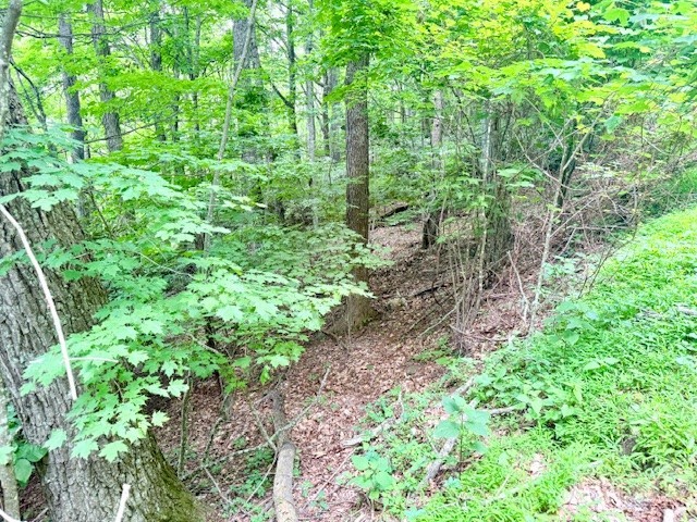 Lot 17 Savannah Drive Property Photo 5