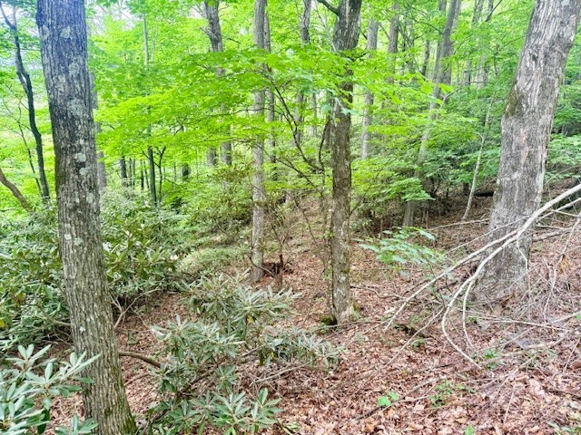 Lot 17 Savannah Drive Property Photo 8