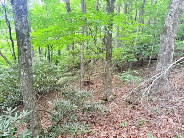 Lot 17 Savannah Drive Property Photo 9