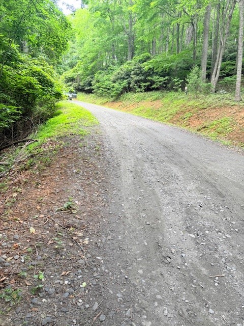 Lot 17 Savannah Drive Property Photo 10