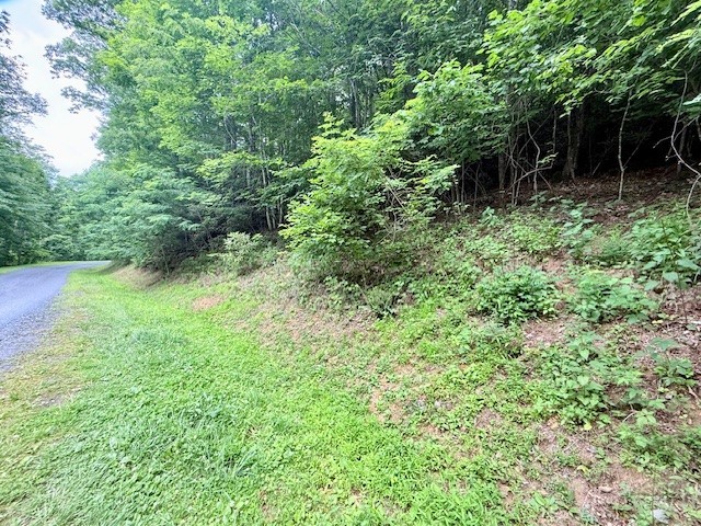 Lot 17 Savannah Drive Property Photo 11