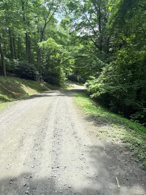 Lot 17 Savannah Drive Property Photo 12