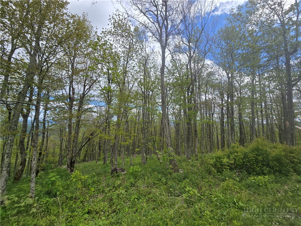 Lot 86 Elk Mountain Parkway Property Photo 1