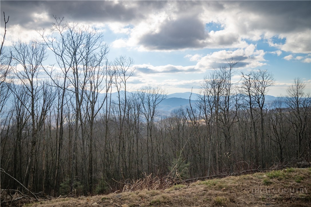 Lot 16a Talon Trail Property Photo 1