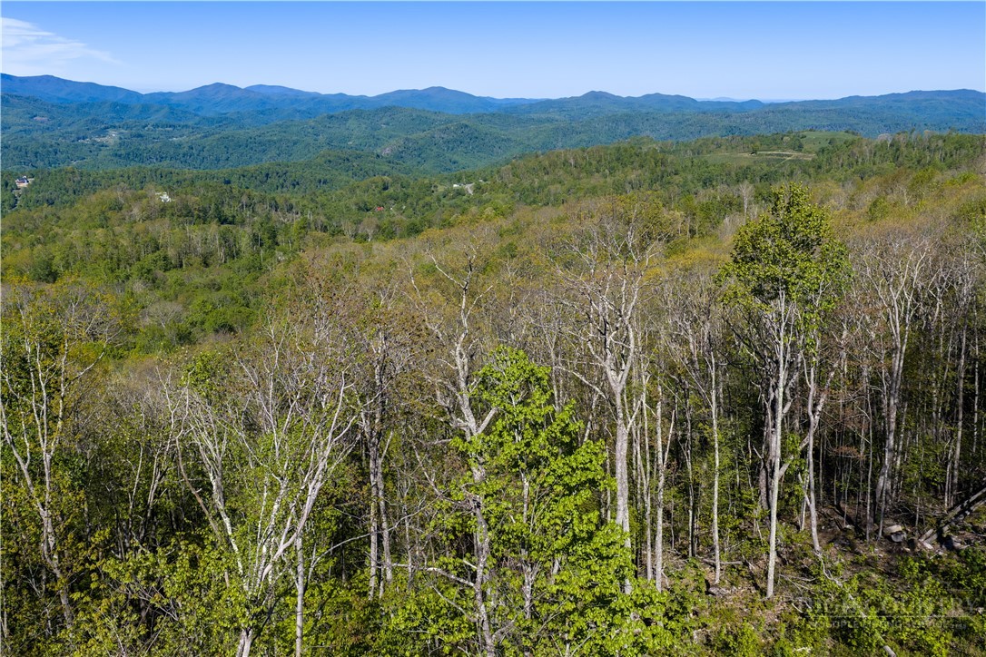 Lot 16a Talon Trail Property Photo 7