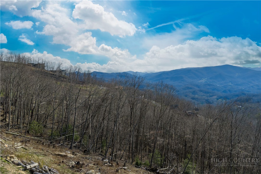 Lot 16a Talon Trail Property Photo 14