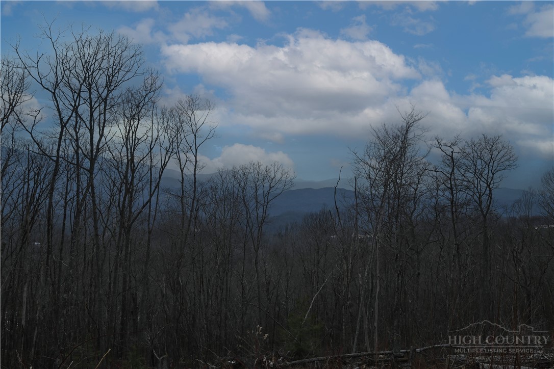 Lot 16a Talon Trail Property Photo 21