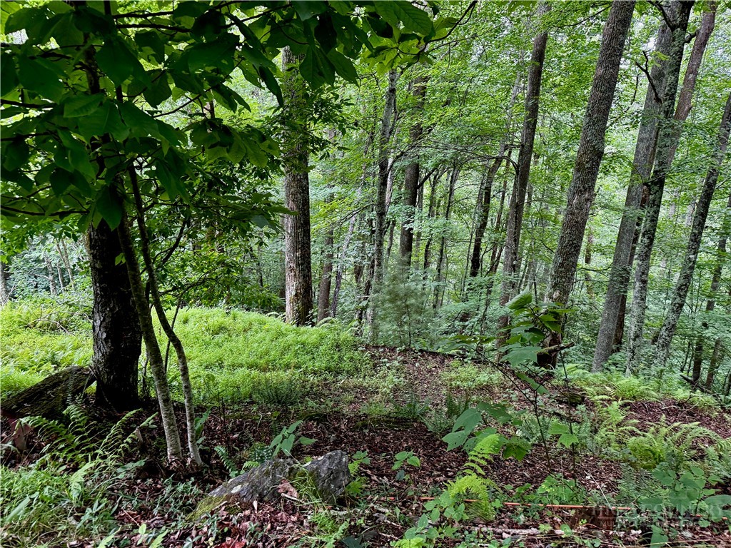 Tbd Heritage Drive Property Photo 20