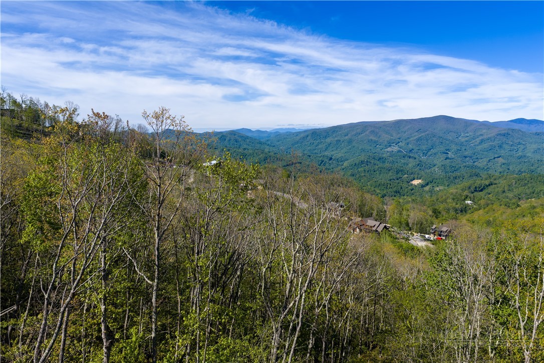 Lot 17c Talon Trail Property Photo 2
